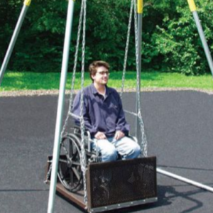 Wheelchair Swing & Frame